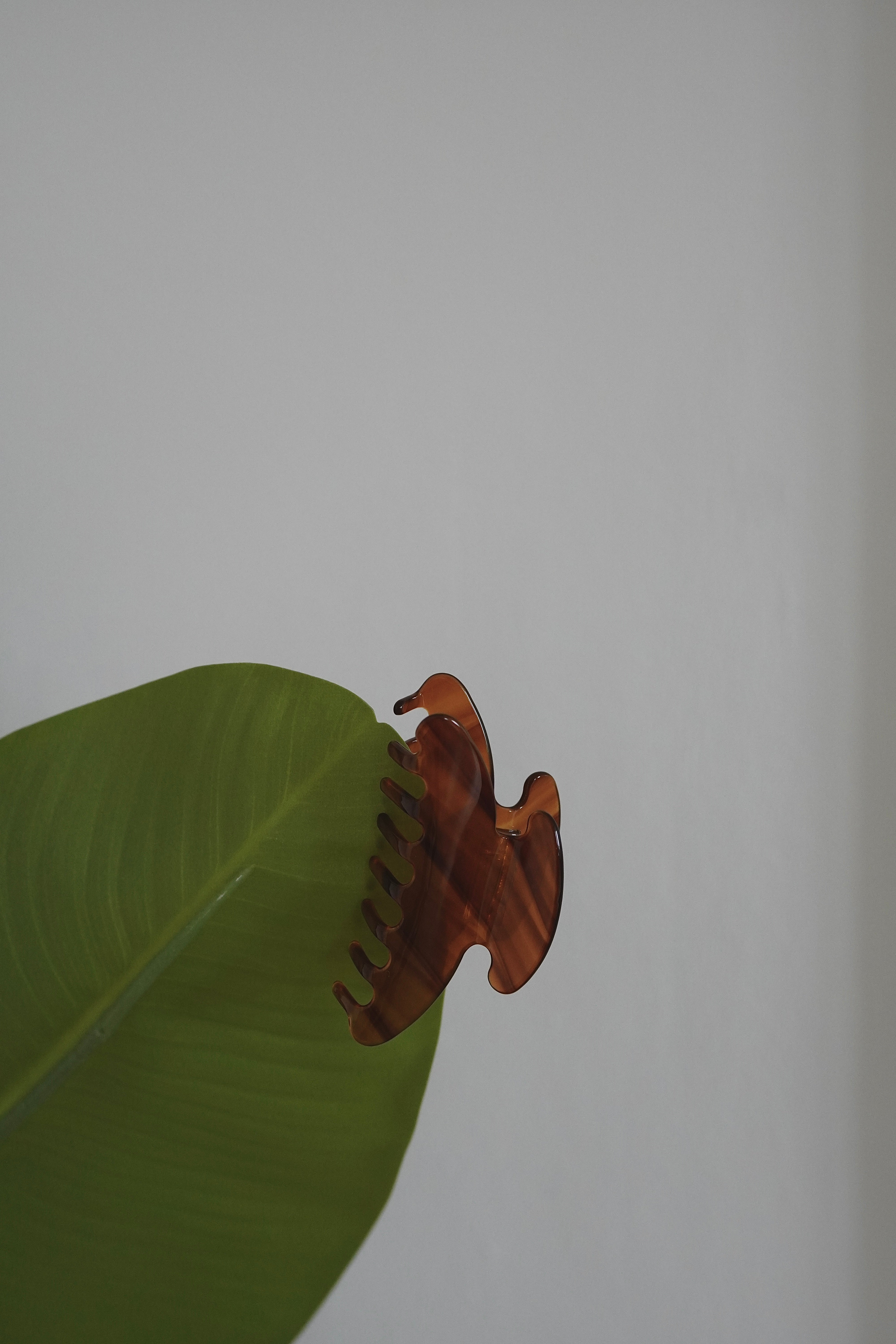 Everyday Hair Clip Brown